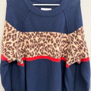 Aerie Blue Sweater with Leopard and Red Details